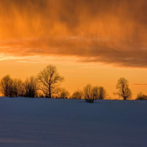 Photo #7436589