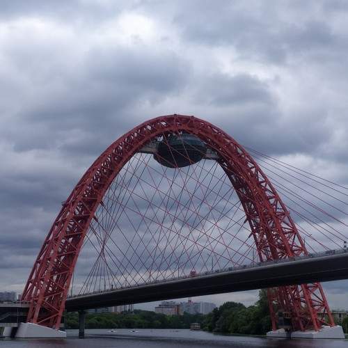 Photo #7437810