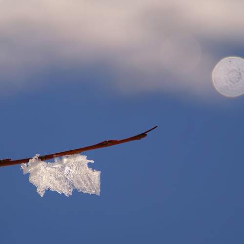 Photo #7437811