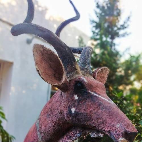 Photo #7437871