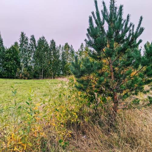 Photo #7437875