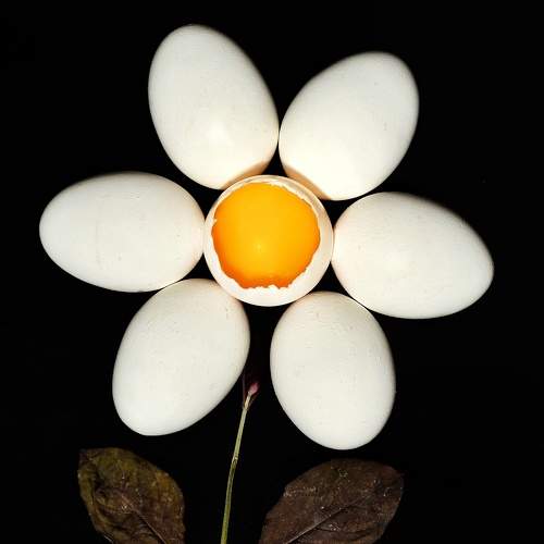 Photo #7438027