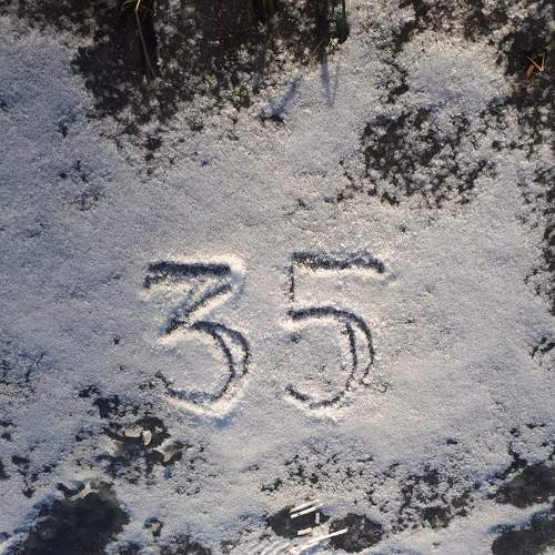 Photo #7438063