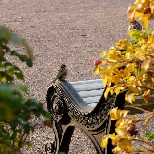 Photo #7439167
