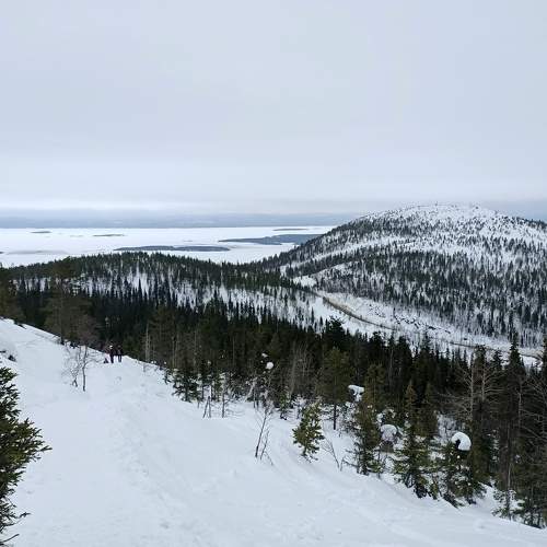 Photo #7439319