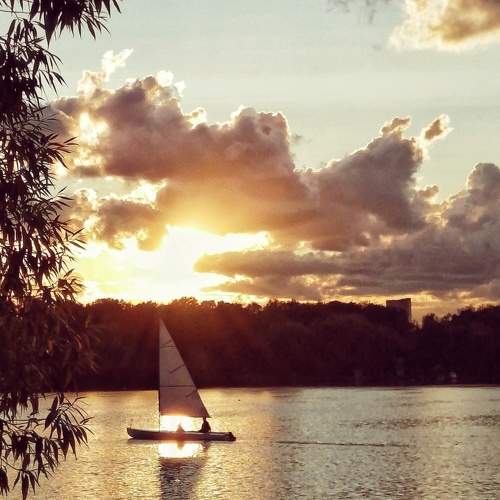 Photo #7439359