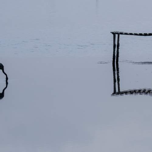 Photo #7439588