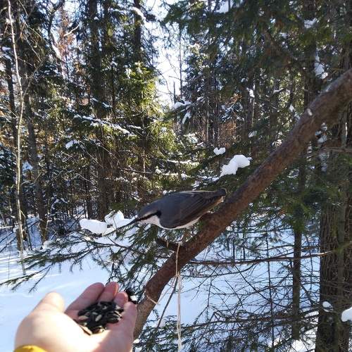 Photo #7439937