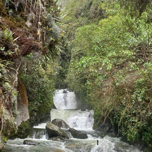 Photo #7440007