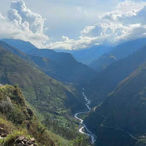 Photo #7440012