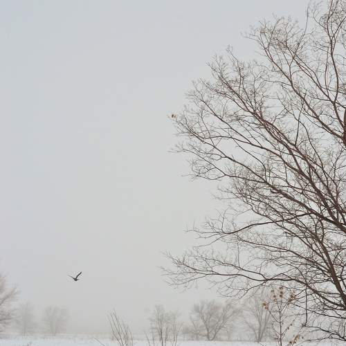 Photo #7440703