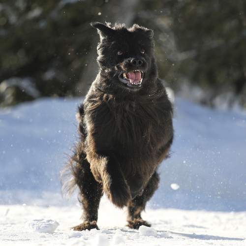 Photo #7440845