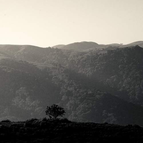 Photo #7441067