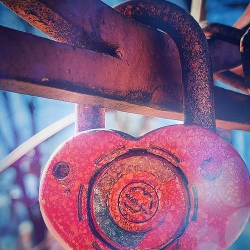Photo #7441367