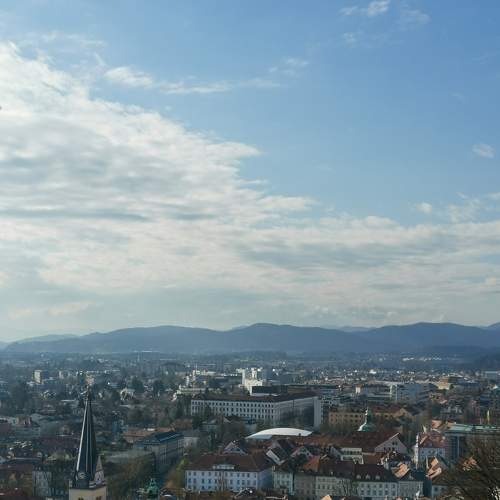 Photo #7441650