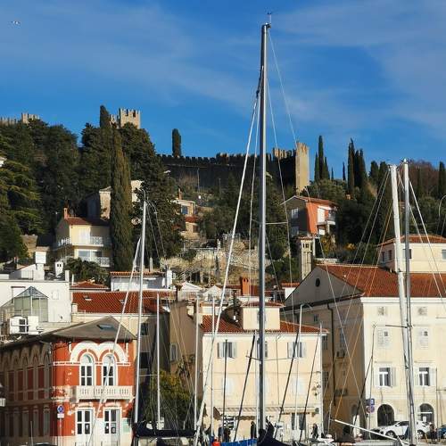 Photo #7441651