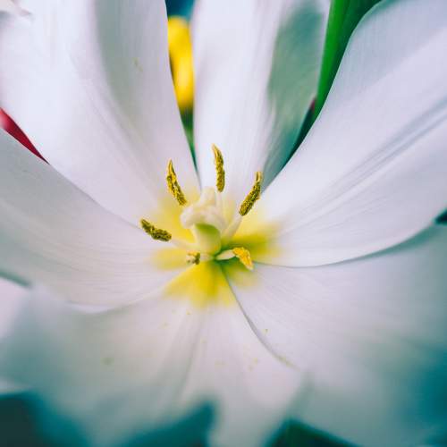 Photo #7441731