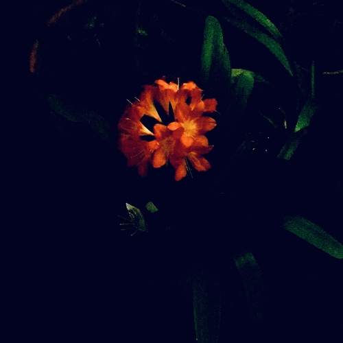 Photo #7441899