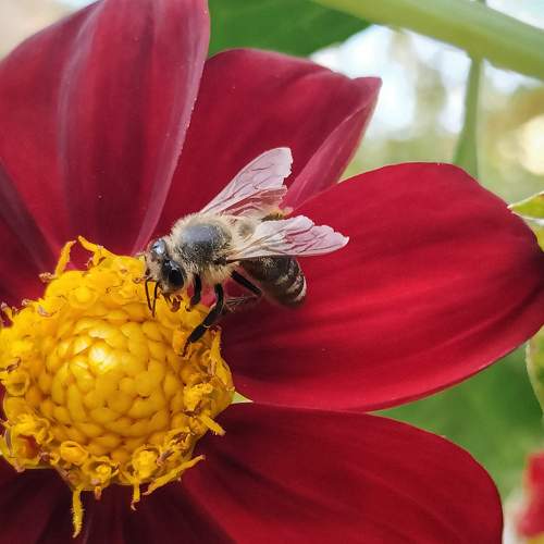 Photo #7442058