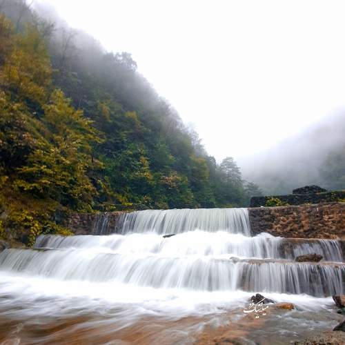 Photo #7442084