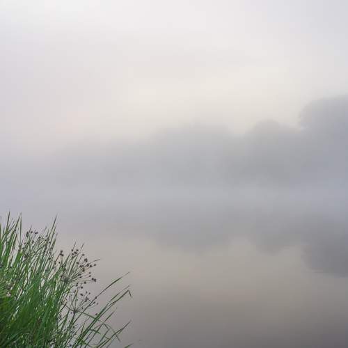 Photo #7442165