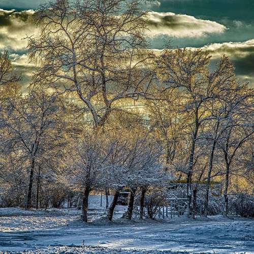 Photo #7442169