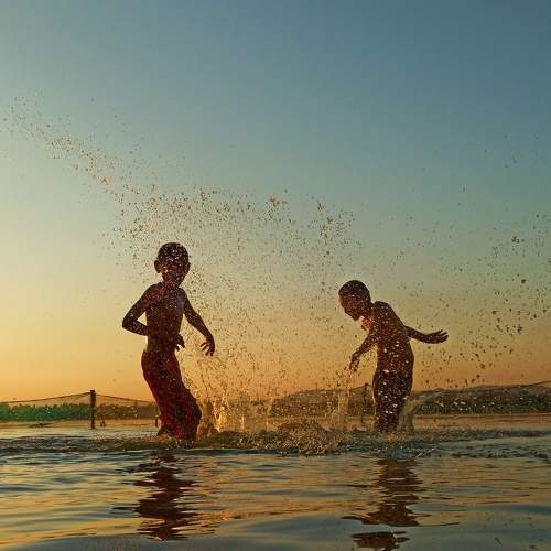 Photo #7442583