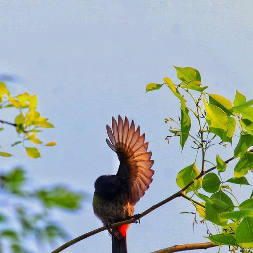 Photo #7443277
