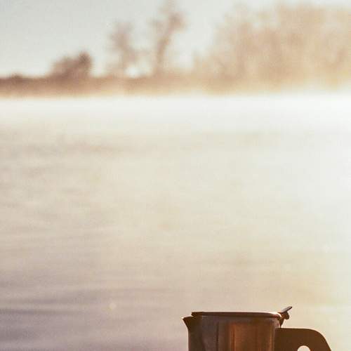Photo #7443618