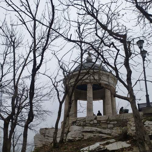 Photo #7443674