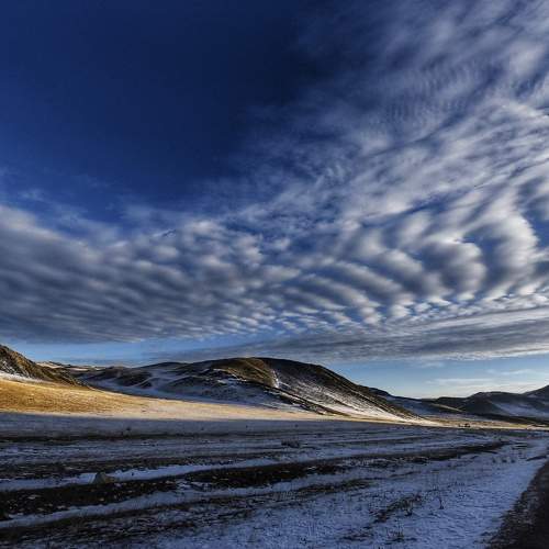 Photo #7443858