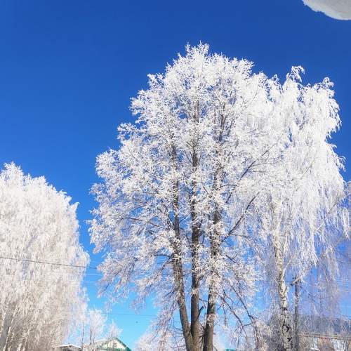 Photo #7443889