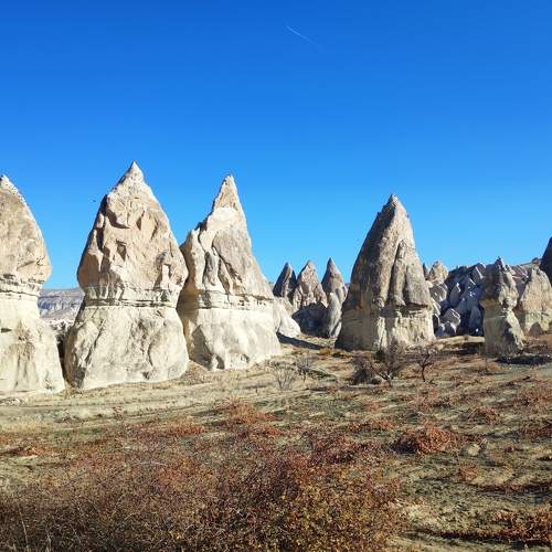 Photo #7443894