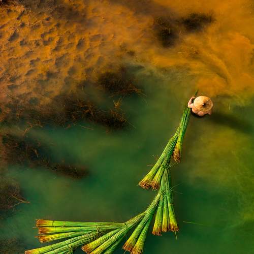 Photo #7443954