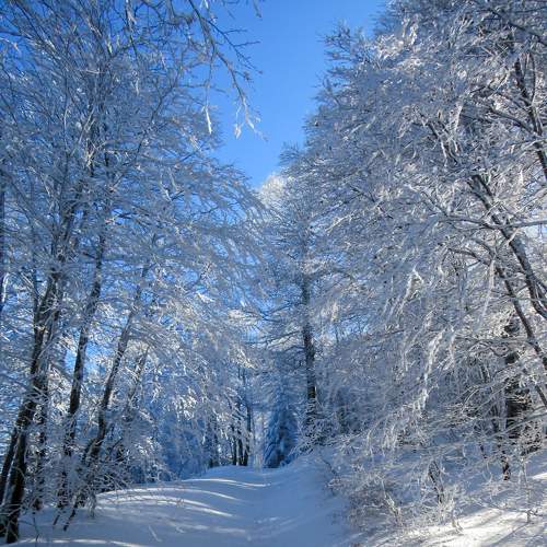 Winter in Aspromonte