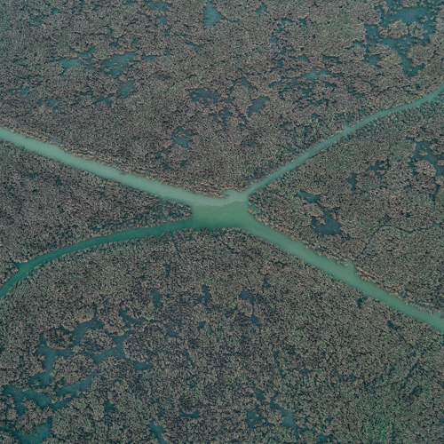 Photo #7444046