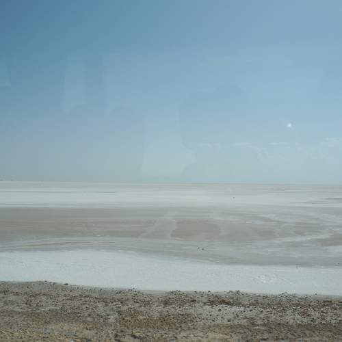 Photo #7444164