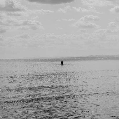 Photo #7444414