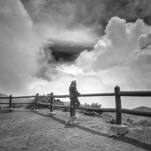 Photo #7444764