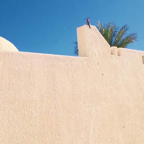 Photo #7444858