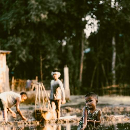 Photo #7444922