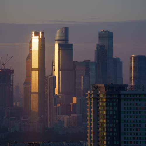 Photo #7444934