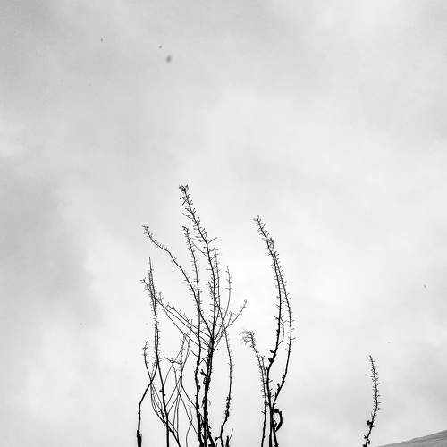 Photo #7445111