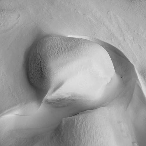 Photo #7445114