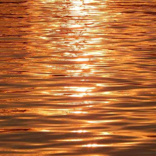 Photo #7445175
