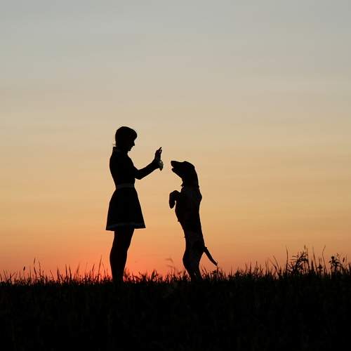 Photo #7445344