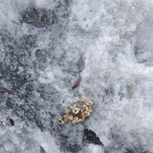 Photo #7445527