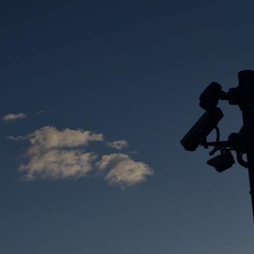 Photo #7445564