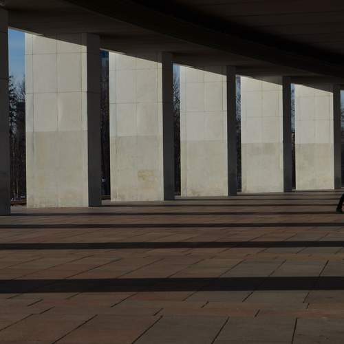 Photo #7445627