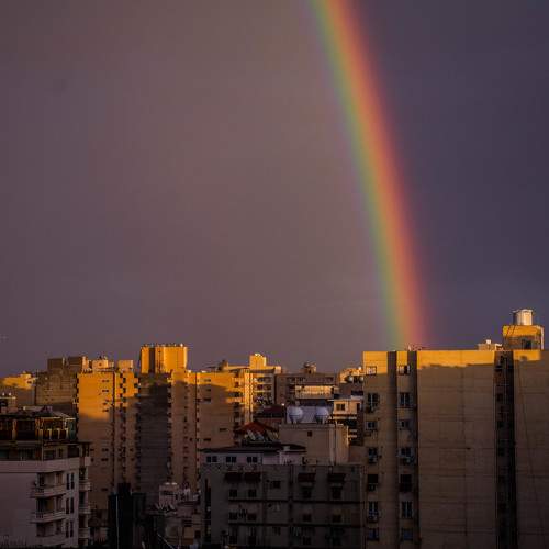 Photo #7445759